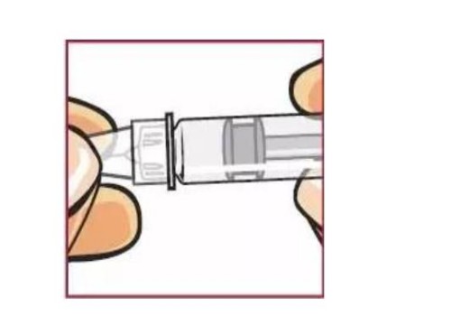 受精卵四细胞也能移植，有很高发育潜力